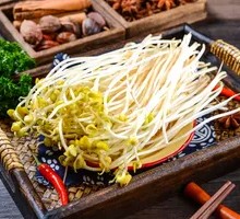 Bean sprouts