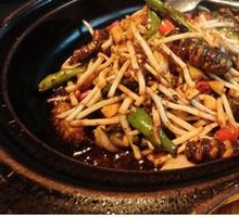 Burned Pepper Eel with Bamboo Shoots