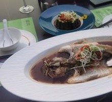 Steamed Grouper