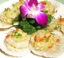 Scallop