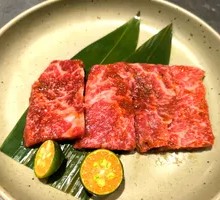 Frost Descent Diaphragm