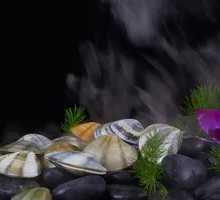 Shellfish