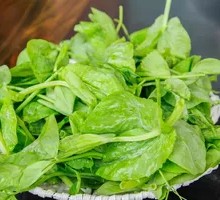Pea Shoots