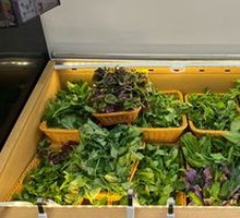 Vegetarian Buffet