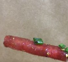 Sweet Sausage