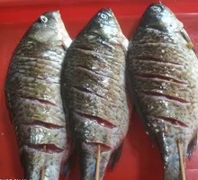 Special Roast Fish