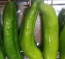 Green Pepper