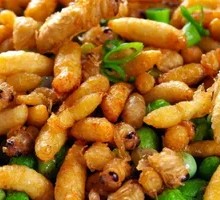 Fried Bee Larvae from Yunnan