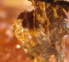 Yang Guanghui Patent Beef