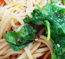 Cilantro