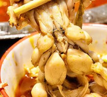 Rice Field Frog
