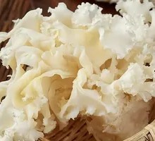 Fresh Cauliflower Mushroom