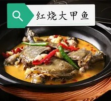 Braised Giant Softshell Turtle