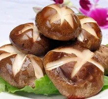Shiitake Mushroom