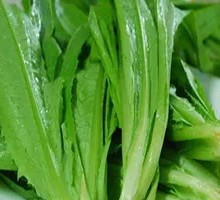 Spicy Lettuce Tips