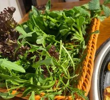 Mixed Wild Greens Platter