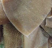 Sliced Beef Tripe