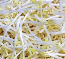 Bean sprouts