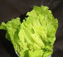 Lettuce