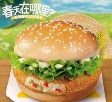 Sunshine Veggie Crunch Chicken Burger