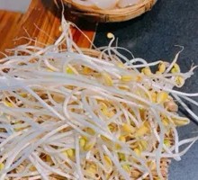 Bean sprouts