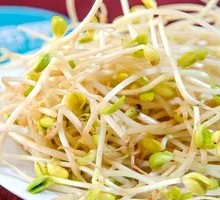 Bean sprouts