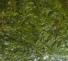 Braised Bamboo Shoots