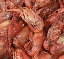 Spicy Braised Shrimp