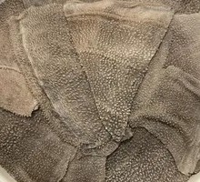 Buffalo Tripe from the Slaughterhouse