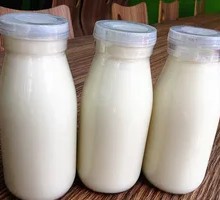 Xinjiang Traditional Yogurt