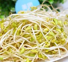 Bean sprouts