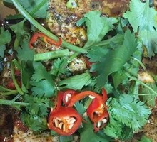 Aluminum-Wrapped Brain Dish