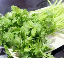 Cilantro