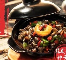 Organic Sprouted Rice and Mushroom Stew Rice