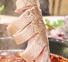 Bighead Carp Unlimited