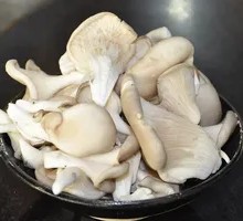 Enoki Mushroom