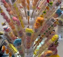 Ginseng Fruit Cider Stick