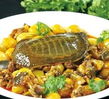 Potato and Big Turtle