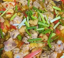 Paojiao功夫 Rabbit