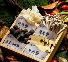 Mushroom Assortment Platter