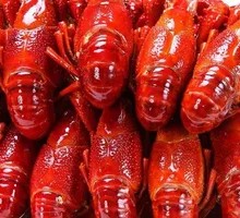 Stewed Crawfish in Oil