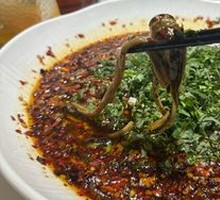 Mud Pot Eel