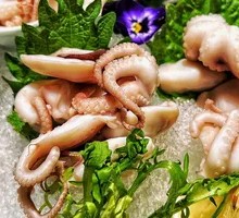 Chilled Octopus