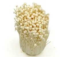 Enoki Mushroom