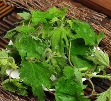 Wild Greens Selection