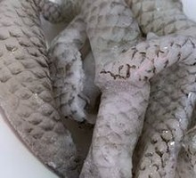 Fish Skin