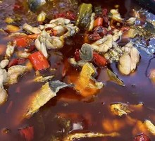 Hot Pot Fish Buffet