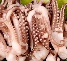 Squid Tentacles