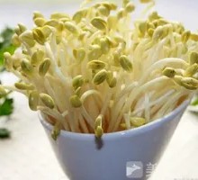 Bean sprouts