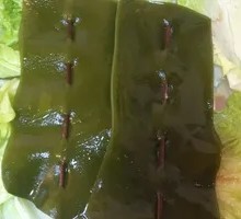 Fresh Kelp